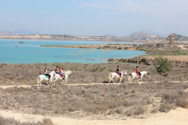  Horseback riding 