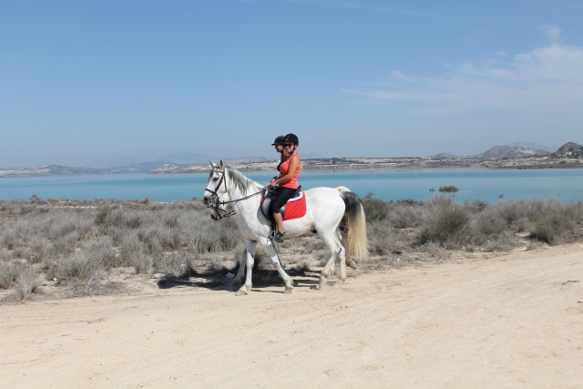  Horseback riding 