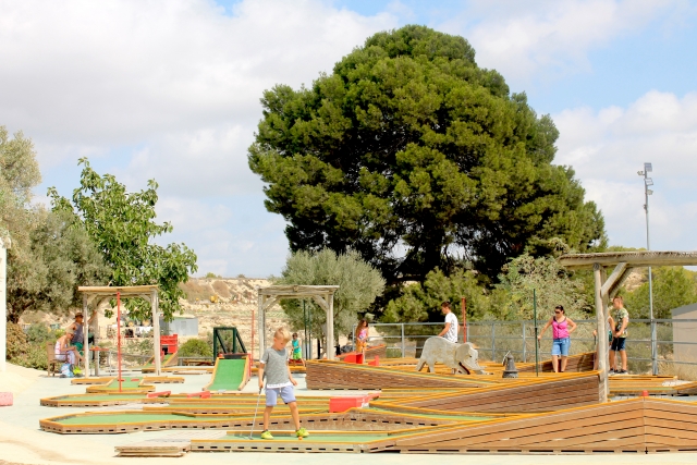  Mini golf circuit 