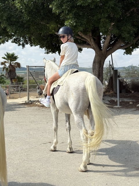 Opinión de SURINI sobre Ruta a caballo cerca de Torrevieja 30 minutos