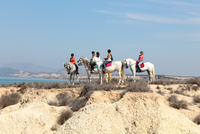  Horseback riding on the beaches of Alicante 
