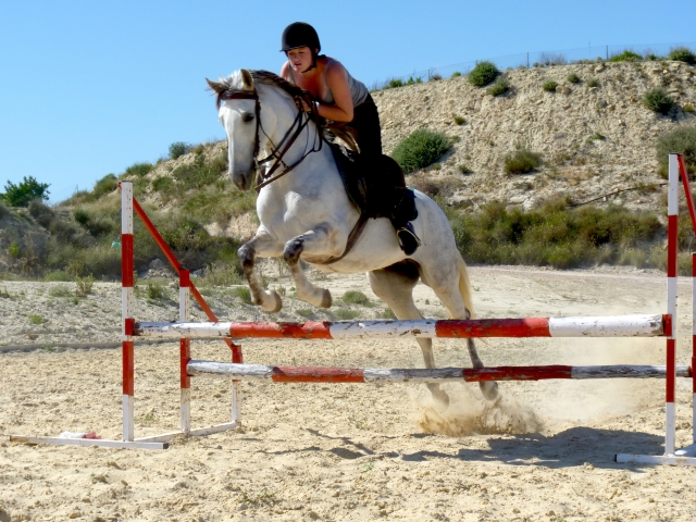 Horseback riding class Horse jumping 