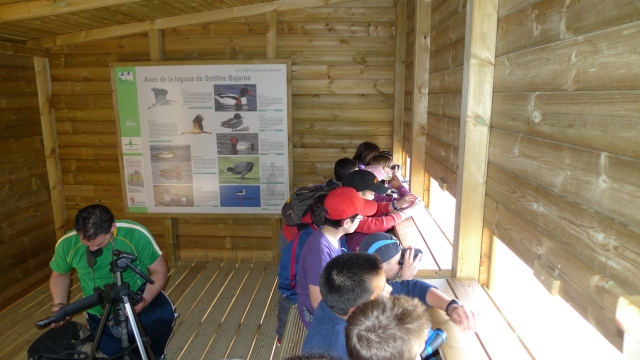  Sosta per birdwatching 