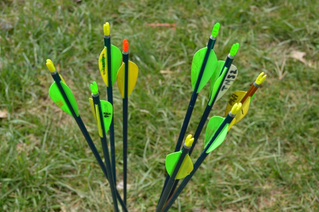  Try archery