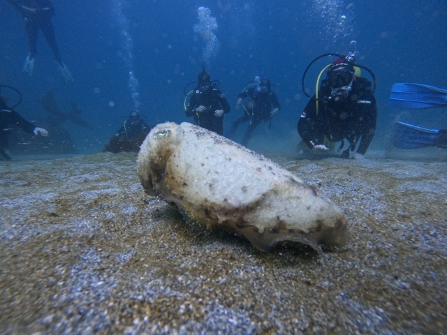  A group of impressed divers 