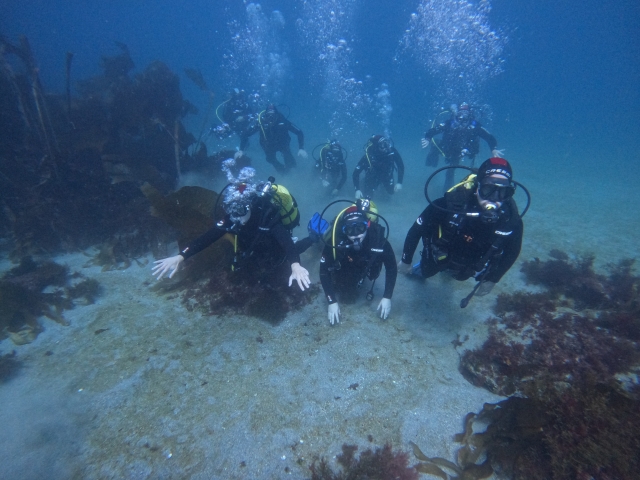  In the deep sea 