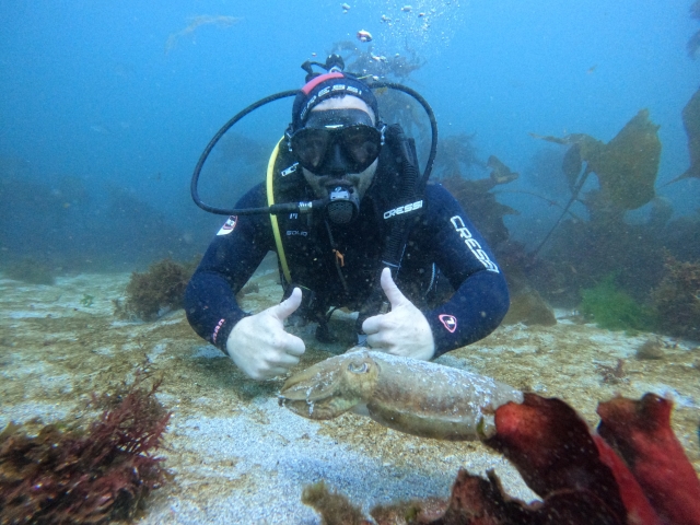  Enjoying a scuba dive 
