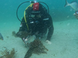 res_o-67828-buceo_de_alberto-elena_17914515133875.jpg
