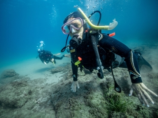 res_o-65601-buceo_de_m-carmen-rey-gonzalez_92e998a3-8554-4dd8-bea2-353497d22f9a_17565596916536.jpeg