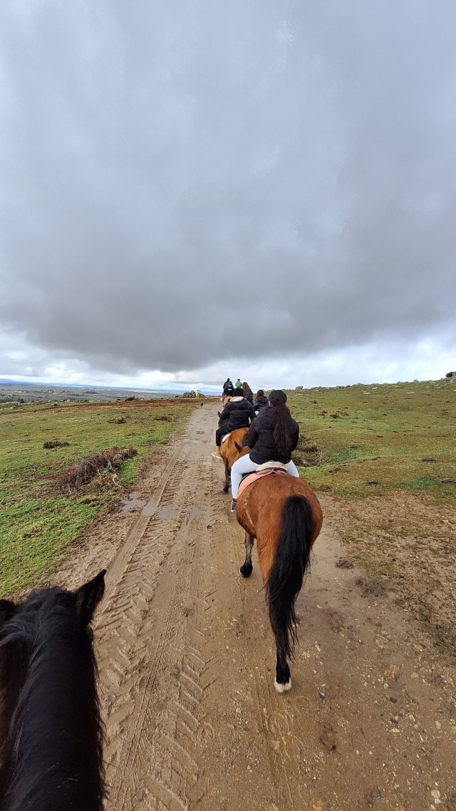 Opinión de Enrique sobre Ruta a caballo junto al río Cambrones, 1h30min