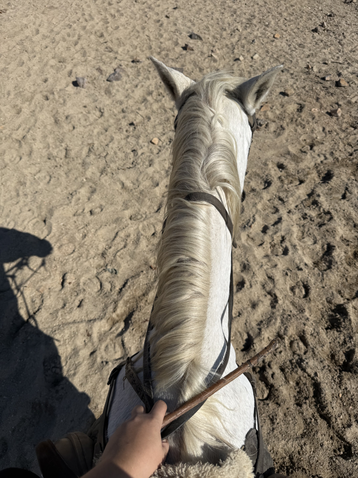 Ruta a caballo junto al río Cambrones, 1h30min