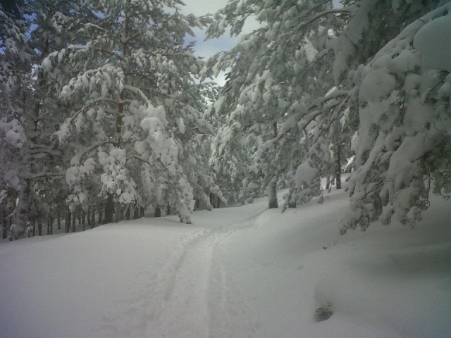  Comfortable progression through the snow