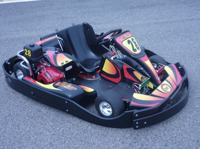 Kart Adulto Honda 390cc 4T