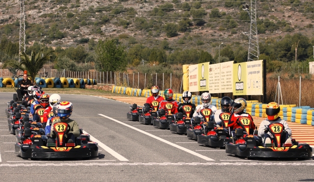 Carrera de grupo kart Adulto 390cc 4T