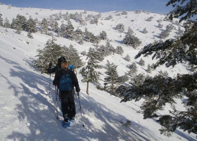 Descendiendo
