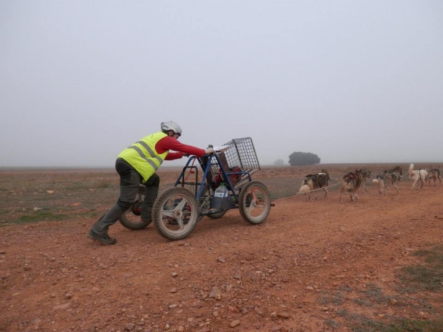  Mushing in Monegros 
