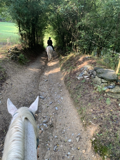 Opinión de Maca sobre Excursión a caballo en Llavorsí 2 horas
