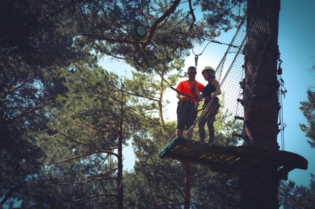 Plataforma en el arbol