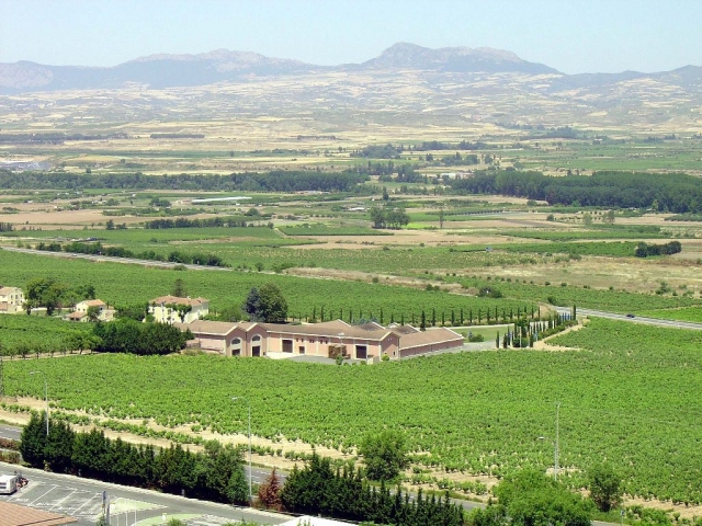 Panoramica vinedos