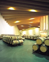 Nuestras inmensas bodegas