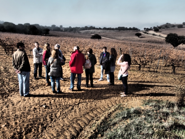 visita-al-vinedo-bodega-cyan.jpg