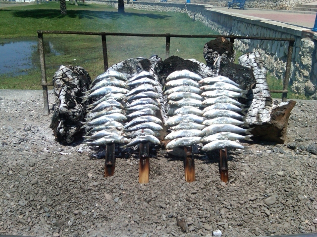 Sardine sulla spiaggia 