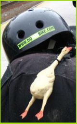 你骑自行车吗？我愿意 