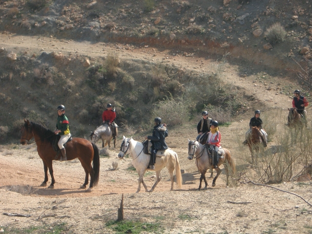 paseo tranquilo