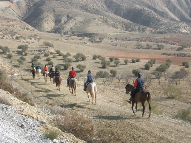 los llaneros