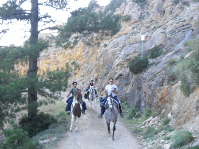 en ruta por el monte