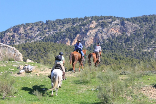 Ruta Fuente del Arteson