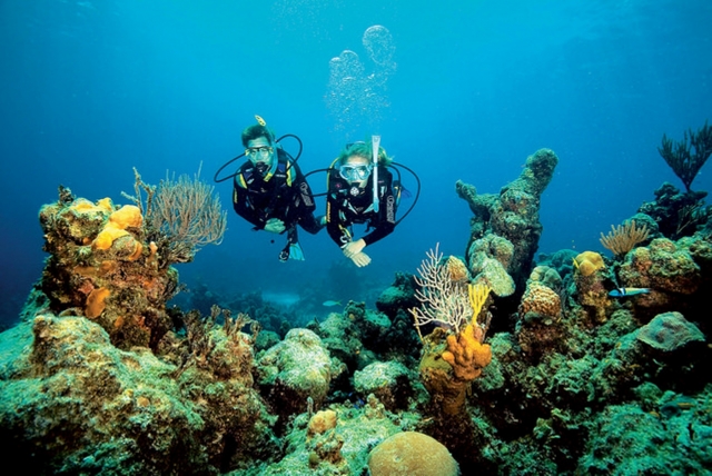 Disfrutando de un día de buceo 