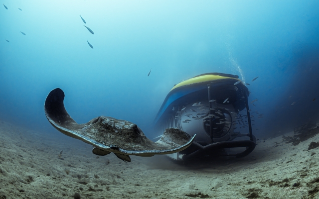  Explore the seabed 