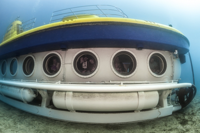  Explore under the sea 