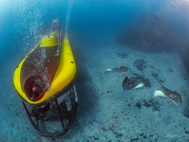  Our submarine under the sea 