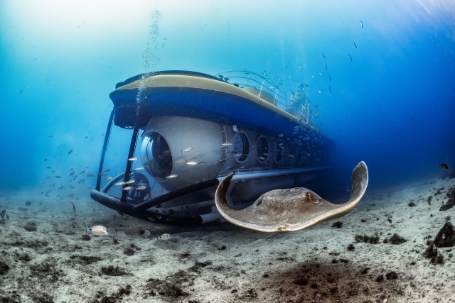 Submarine walk 