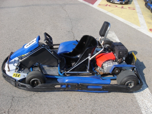 Kart Fortus para adultos