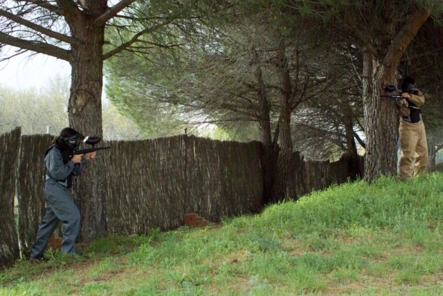  Duell der Titanen zwischen Bäumen 