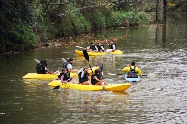 Actividad en piraguas