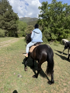 res_o-66723-rutas-a-caballo_de_xenia-sanz-pirla_17772267534281.jpeg