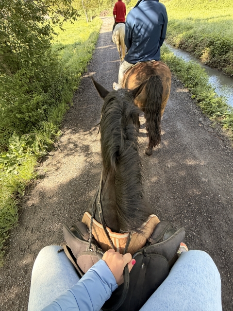 Review of Xènia about Romantic Couples Special - Horseback Riding Route 2h