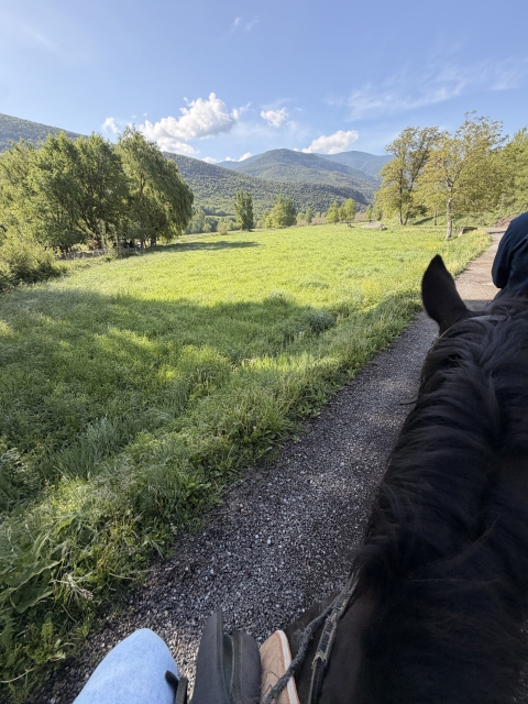 Opinión de DAMIA sobre Especial Romántico Parejas - Ruta a caballo 2h