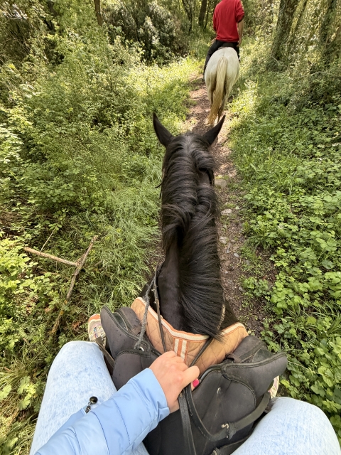 Opinión de Xènia sobre Especial Romántico Parejas - Ruta a caballo 2h