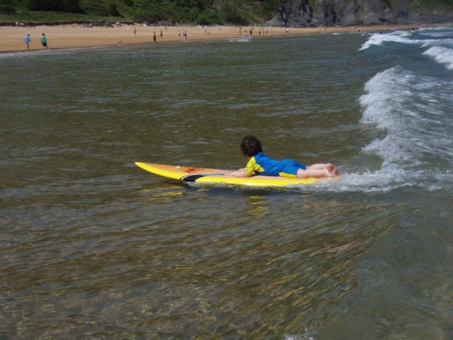  On the shore 
