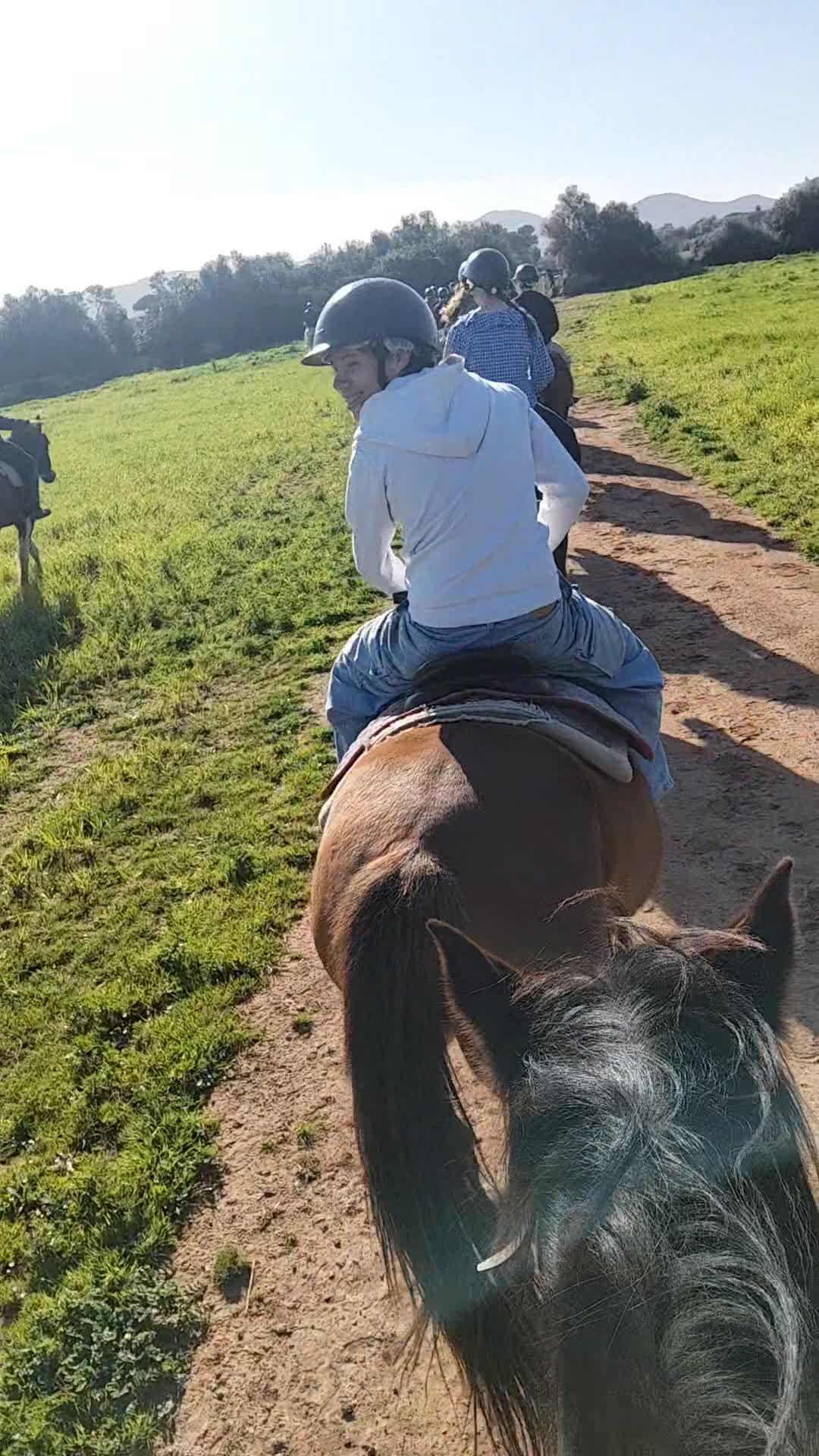 Opinión de Juan sobre Cabalgamarra con vistas a la Playa Son Serra 2h