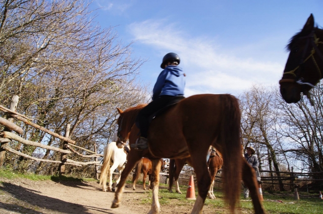 Pequeño a caballo por la pista exterior