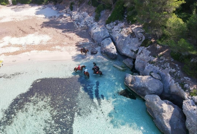 Equinos en cala menorquina