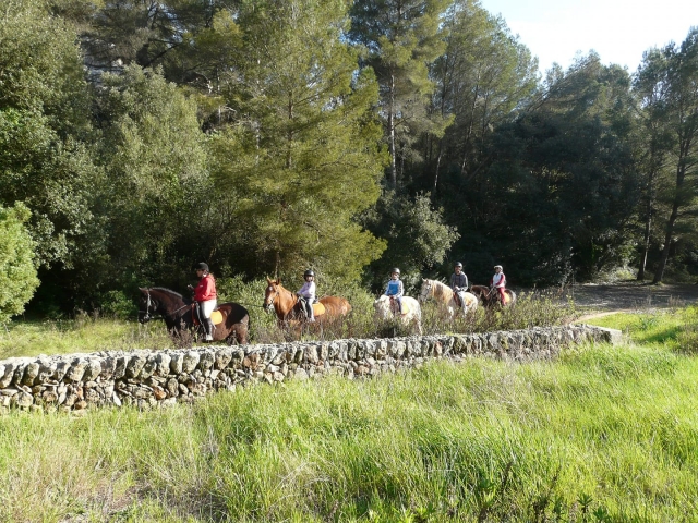 Excursion por el campo en Menorca