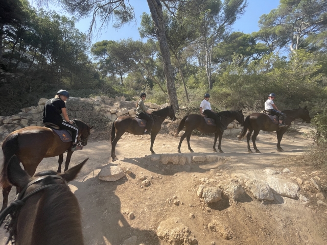 Avis de Loubna concernant Initiation au parcours équestre à Cala Mitjana 1h 30min