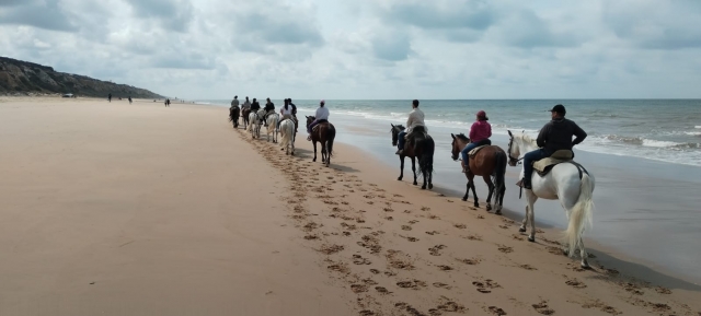 Avis de Ladouce concernant Parcours équestre à travers Playa Dunas et le parc Doñana, 2h